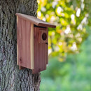 Red cedar bluebird house with mounting pole garden nesting box by Decorbites