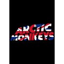 GobekUsa Retro Arctic Monkeys Singer Poster - Waterproof Wall Art