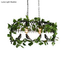 GobekUsa Retro Birdcage Island Light Fixture - Metal LED Plant Ceiling Lamp in Black, with 2/3/4 Bulbs