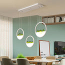 GobekUsa Round Planter LED Chandelier