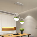 GobekUsa Round Planter LED Chandelier