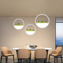 GobekUsa Round Planter LED Chandelier