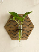 GobekUsa Rustic Wood Wall Vase for Greenery
