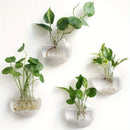 GobekUsa Self-Watering Glass Terrarium Set for Home Décor