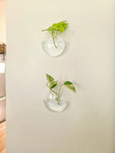 GobekUsa Self-Watering Glass Terrarium Set for Home Décor