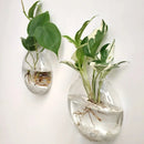 GobekUsa Self-Watering Glass Terrarium Set for Home Décor