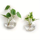 GobekUsa Self-Watering Glass Terrarium Set for Home Décor