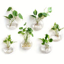 GobekUsa Self-Watering Glass Terrarium Set for Home Décor