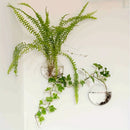 GobekUsa Self-Watering Glass Terrarium Set for Home Décor