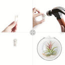 GobekUsa Self-Watering Glass Terrarium Set for Home Décor