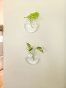 Modern spherical glass terrarium set – living room wall planters by Decorbites