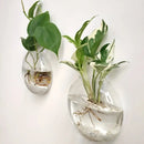 Modern spherical glass terrarium set – living room wall planters by Decorbites