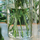 GobekUsa Shatterproof Clear Acrylic Cylinder Vase