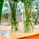 GobekUsa Shatterproof Clear Acrylic Cylinder Vase
