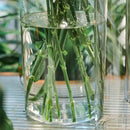 Shatterproof tall transparent acrylic flower vase living room decor by Decorbites