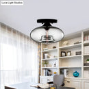 GobekUsa Simple Style Glass Oval Flush Mount Lamp with 1 Light - Clear/Amber/Smoky Ceiling Fixture for Hallway