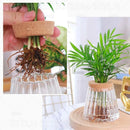 GobekUsa Small Transparent Glass Vase for Home Decor