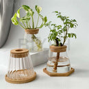 GobekUsa Small Transparent Glass Vase for Home Decor