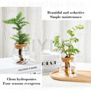 GobekUsa Small Transparent Glass Vase for Home Decor