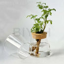 GobekUsa Small Transparent Glass Vase for Home Decor