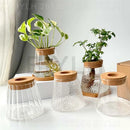 GobekUsa Small Transparent Glass Vase for Home Decor
