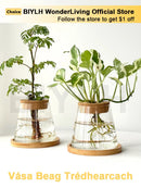 GobekUsa Small Transparent Glass Vase for Home Decor