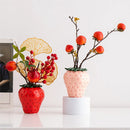GobekUsa Strawberry Shaped Ceramic Planter Pot