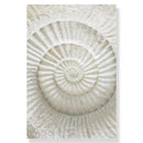 Coastal blue starfish beach seashell canvas wall art for living room by Decorbites
