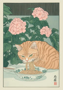 GobekUsa Tabby Cat in Bathtub Canvas Wall Art