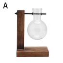 GobekUsa Transparent Avocado Seed Starter Vase
