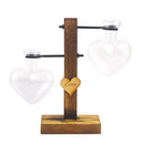 GobekUsa Transparent Avocado Seed Starter Vase