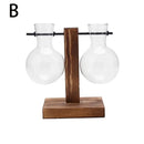 GobekUsa Transparent Avocado Seed Starter Vase