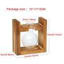 GobekUsa Transparent Avocado Seed Starter Vase