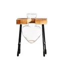GobekUsa Transparent Avocado Seed Starter Vase