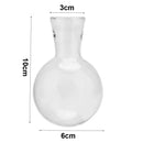 GobekUsa Transparent Avocado Seed Starter Vase