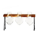 GobekUsa Transparent Avocado Seed Starter Vase