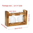 GobekUsa Transparent Avocado Seed Starter Vase
