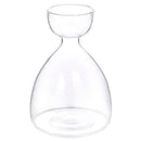GobekUsa Transparent Avocado Seed Starter Vase
