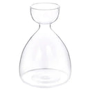 Clear glass avocado seed starter trio kitchen grow vases by Decorbites