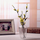 GobekUsa Transparent Nordic Vase for Plants and Flowers