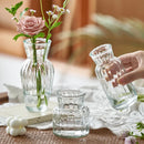 GobekUsa Transparent Nordic Vase for Plants and Flowers