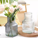 GobekUsa Transparent Nordic Vase for Plants and Flowers