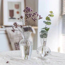 GobekUsa Transparent Nordic Vase for Plants and Flowers
