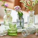 GobekUsa Transparent Nordic Vase for Plants and Flowers