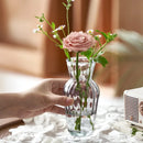 GobekUsa Transparent Nordic Vase for Plants and Flowers