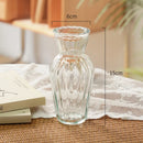 GobekUsa Transparent Nordic Vase for Plants and Flowers