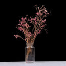 GobekUsa Transparent Nordic Vase for Plants and Flowers