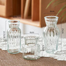 GobekUsa Transparent Nordic Vase for Plants and Flowers