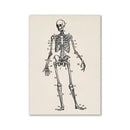 Vintage human anatomy ribcage canvas print office wall art by Decorbites