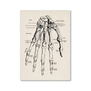 Vintage human anatomy ribcage canvas print office wall art by Decorbites
